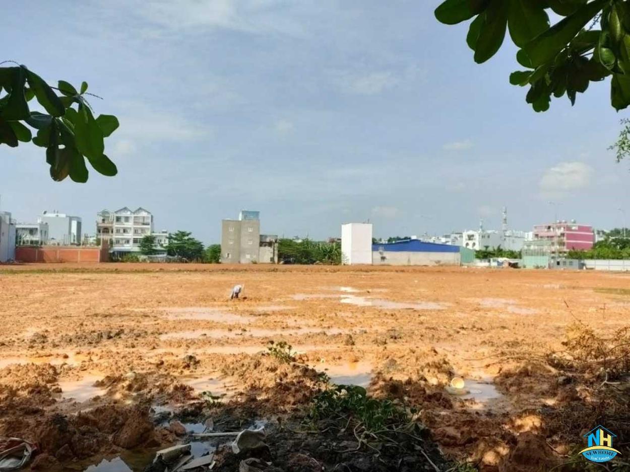 Tiến độ 04/2022 Inter Stella