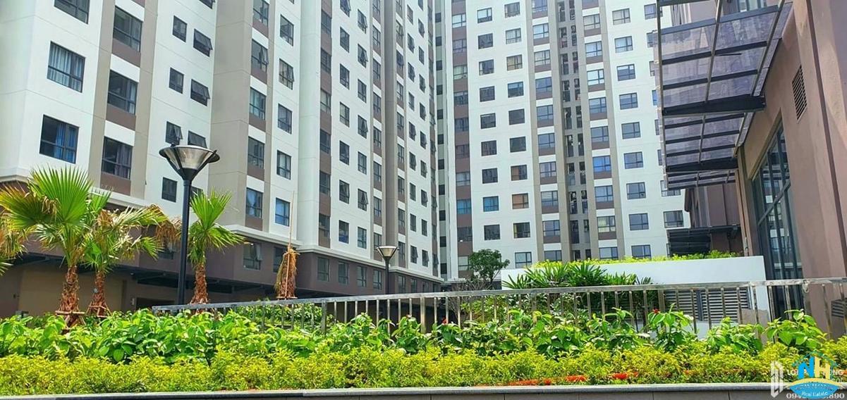 Green River Quận 8 Hình ảnh thực tế căn hộ dự án Green River