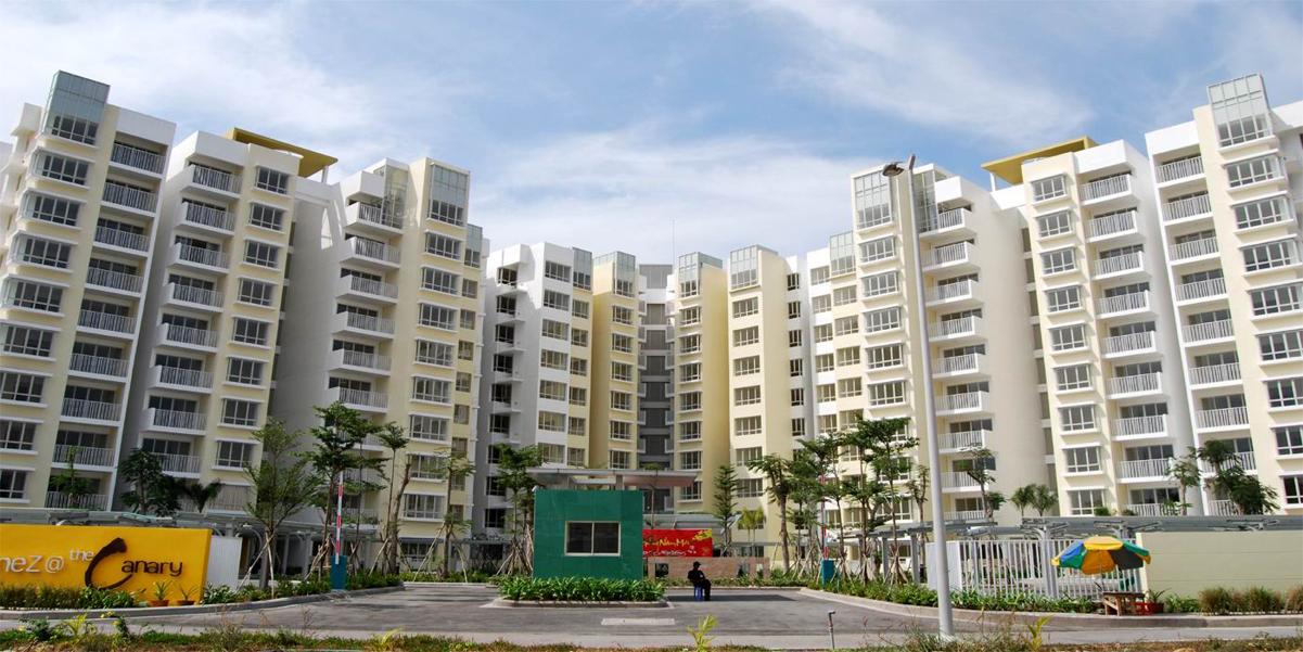 Dự án Canary Heights